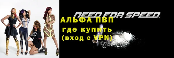 гидра Саяногорск