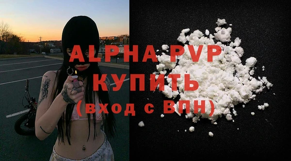 прущие грибы Заводоуковск