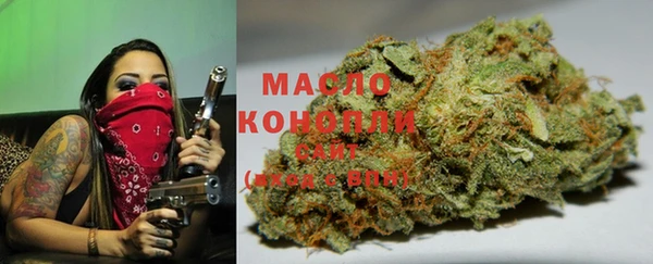 прущие грибы Заводоуковск