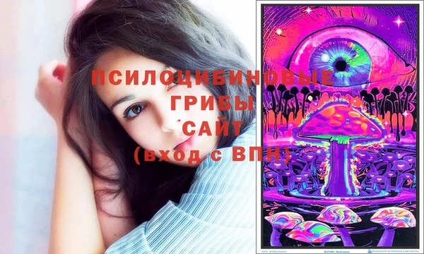 прущие грибы Заводоуковск