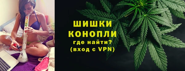 сатива Семёнов