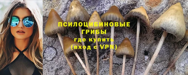 ПСИЛОЦИБИНОВЫЕ ГРИБЫ Сатка