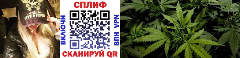 Конопля гибрид  МЕГА зеркало  Палласовка 